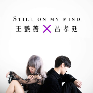 收听王艳薇的我的心脈歌词歌曲