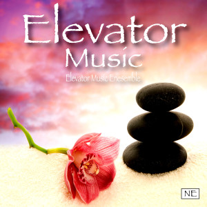 Dengarkan Relaxation lagu dari Elevator Music Radio dengan lirik