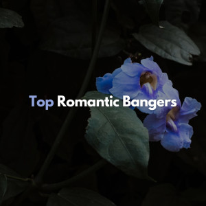 ดาวน์โหลดและฟังเพลง She Will Be Loved (Radio Mix) พร้อมเนื้อเพลงจาก Maroon 5