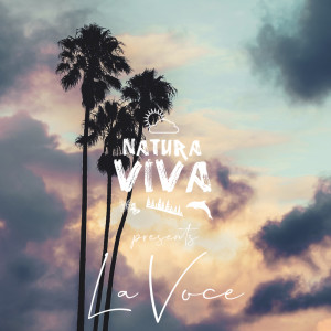 Various Artists的專輯Natura Viva Pres. "La Voce"