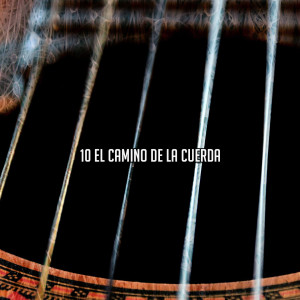 Latin Guitar的專輯10 El Camino de la Cuerda