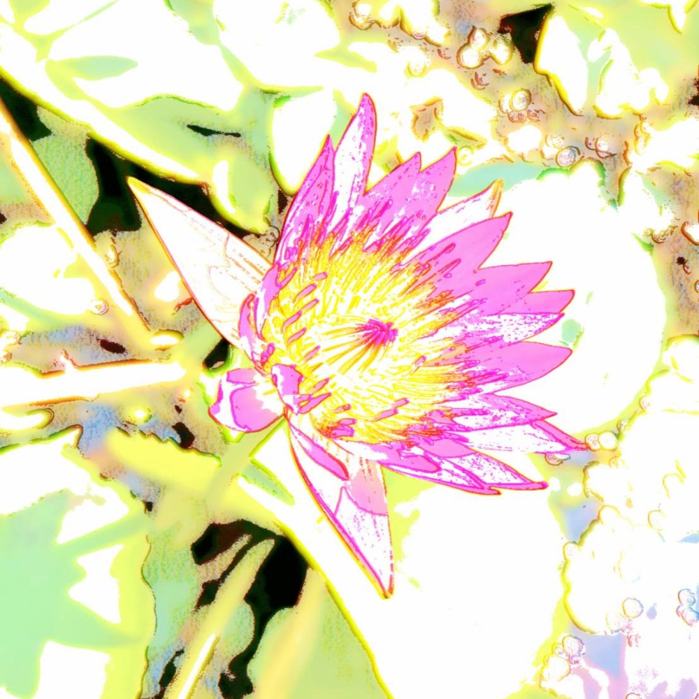 Color Of Patience