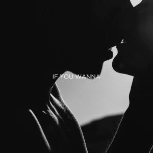 收聽Tricia Coronel的If You Wanna (If You Want Me) (2014 Mix)歌詞歌曲