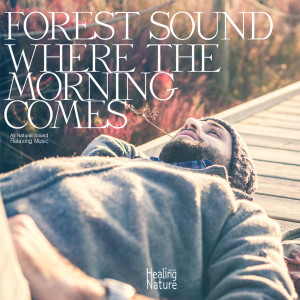 힐링 네이쳐 Nature Sound Band的專輯아침이 밝아오는 숲의 소리 Forest Sound Where the Morning Comes