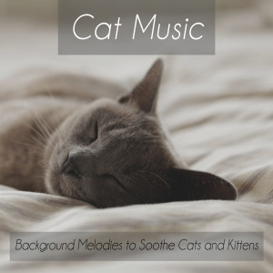 Listen to Lullaby of Relaxation song with lyrics from RelaxMyCat