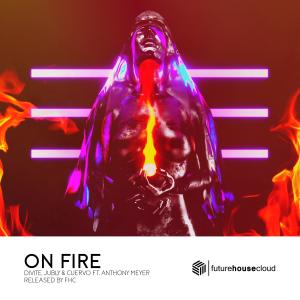 Album On Fire (feat. Anthony Meyer) from Divite