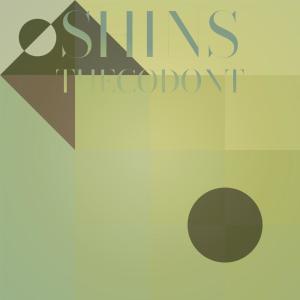 Various Artists的專輯Shins Thecodont