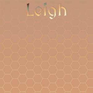 Various的专辑Leigh