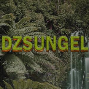 lil hazikolbasz的專輯Dzsungel (feat. Blake) (Explicit)