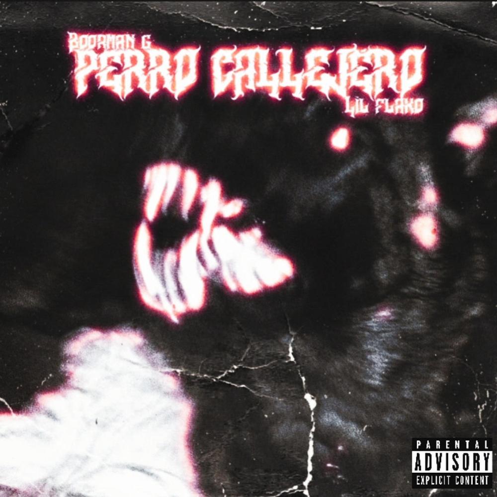 PERRO CALLEJERO (feat. Lil Flako) (Explicit)