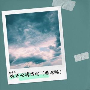 Listen to 你还记得我吗（说唱版） (伴奏) song with lyrics from 翊先生