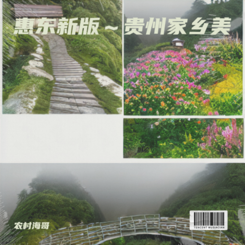 惠东新版～贵州家乡美 (伴奏)