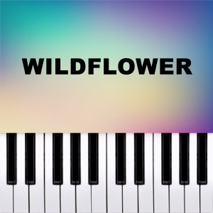 Dario D'Aversa的專輯Wildflower (Piano Version)