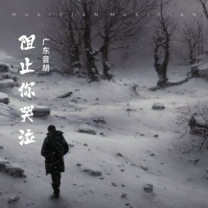 廣東音胡的專輯阻止你哭泣敬龐麥郎