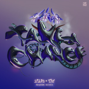 อัลบัม Take A Chance (Maesic Remix) ศิลปิน PLS&TY