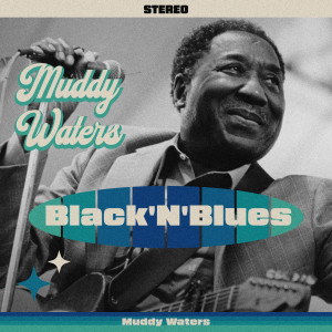 Listen to I Can't Be Satisfied song with lyrics from Muddy Waters