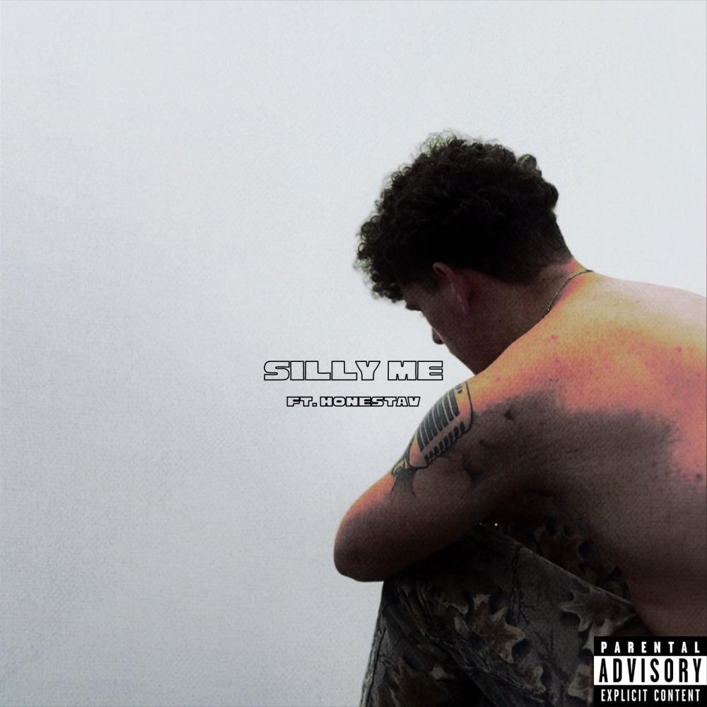 SILLY ME (feat. honestav) (Explicit)