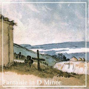 Album Fantaisie in D Minor, Ol. 2 from David Ennarqua