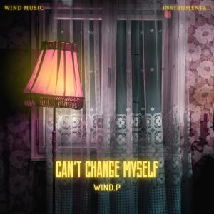 收听Wind.P的Can't Change Myself (Instrumental)歌词歌曲