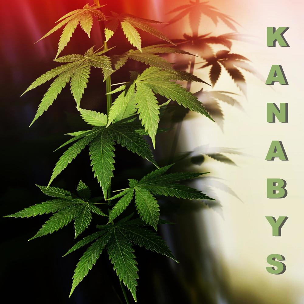Kanabys (feat. DJB & Squash|Instrumental)