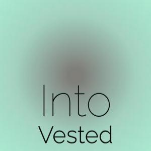 Various Artists的專輯Into Vested