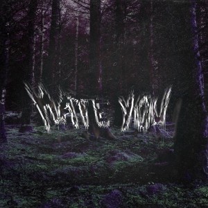 ดาวน์โหลดและฟังเพลง Hate You (Explicit) พร้อมเนื้อเพลงจาก fosfén