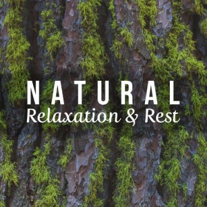 อัลบัม Natural Relaxation & Rest ศิลปิน Pure Relaxation