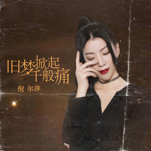 Listen to 旧梦掀起千般痛 (DJheap九天版) song with lyrics from 倪尔萍