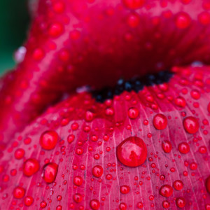 收聽Lightning, Thunder and Rain Storm的For Forever歌詞歌曲