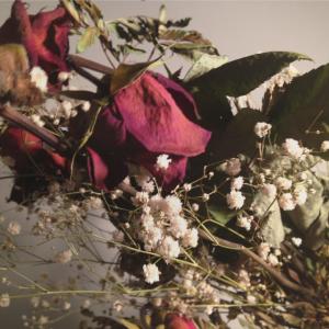 Listen to Transgression song with lyrics from Logan Hill