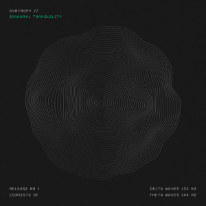 ดาวน์โหลดและฟังเพลง Theta Waves 144 hz พร้อมเนื้อเพลงจาก Syntropy
