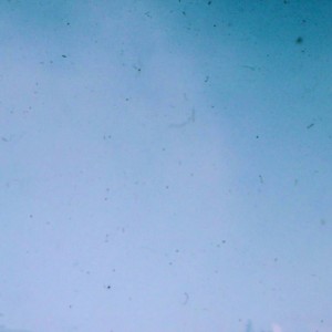 Listen to This Linen Heart song with lyrics from MADRON