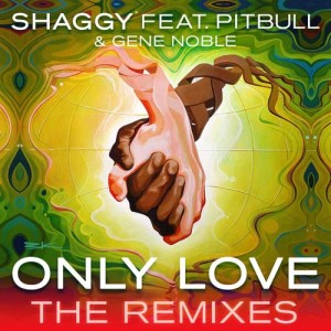 收聽Shaggy的Only Love (Bad Royale Remix)歌詞歌曲
