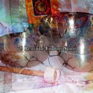 อัลบัม 79 Rest The Furious Spirit ศิลปิน Japanese Relaxation and Meditation