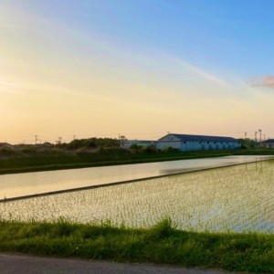 Dengarkan lagu umaretadake (feat. Azami) nyanyian 鹿あるく dengan lirik