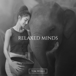 Album Relaxed Minds from Tom Whale