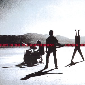 ดาวน์โหลดและฟังเพลง Should Have Known Better พร้อมเนื้อเพลงจาก Fury In The Slaughterhouse
