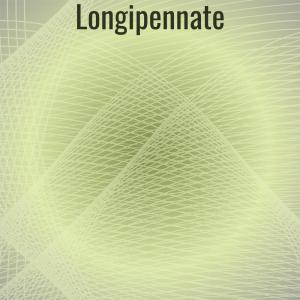 Listen to Longipennate song with lyrics from Orlane Nollen