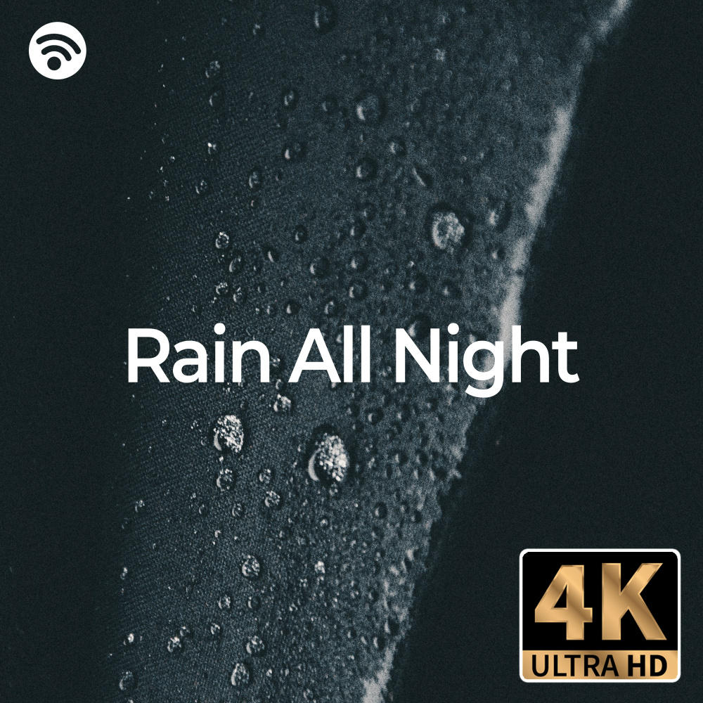 Rain All Night Pt.10 (4K Ultra HD)