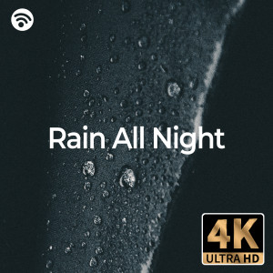 ดาวน์โหลดและฟังเพลง Rain All Night Pt.9 (4K Ultra HD) พร้อมเนื้อเพลงจาก Suara Hujan ID