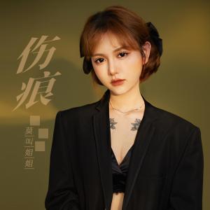收聽莫叫姐姐的傷痕歌詞歌曲
