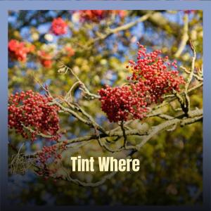 Listen to Those Equal song with lyrics from Dime Pillin
