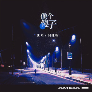 Album 像个傻子 from 阿妹啊