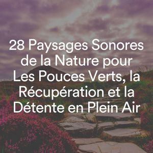 28 Paysages Sonores de la Nature pour Les Pouces Verts, la Récupération et la Détente en Plein Air dari Multi-interprètes