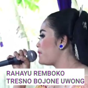 -的專輯Tresno Bojone Uwong