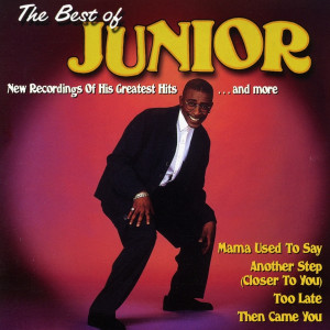 Listen to Me Loving You Loving Me song with lyrics from Junior