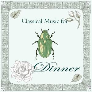 Listen to Nocturne in E flat major op. 9 no. 2 Solo Piano（Chopin） song with lyrics from Shockwave-Sound