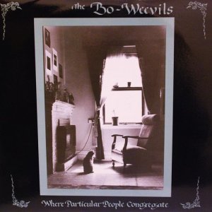 收聽The Bo-Weevils的Past Lives歌詞歌曲