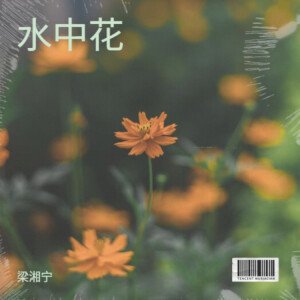 Album 水中花 from 梁湘宁