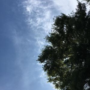 收聽Nadj的wings歌詞歌曲